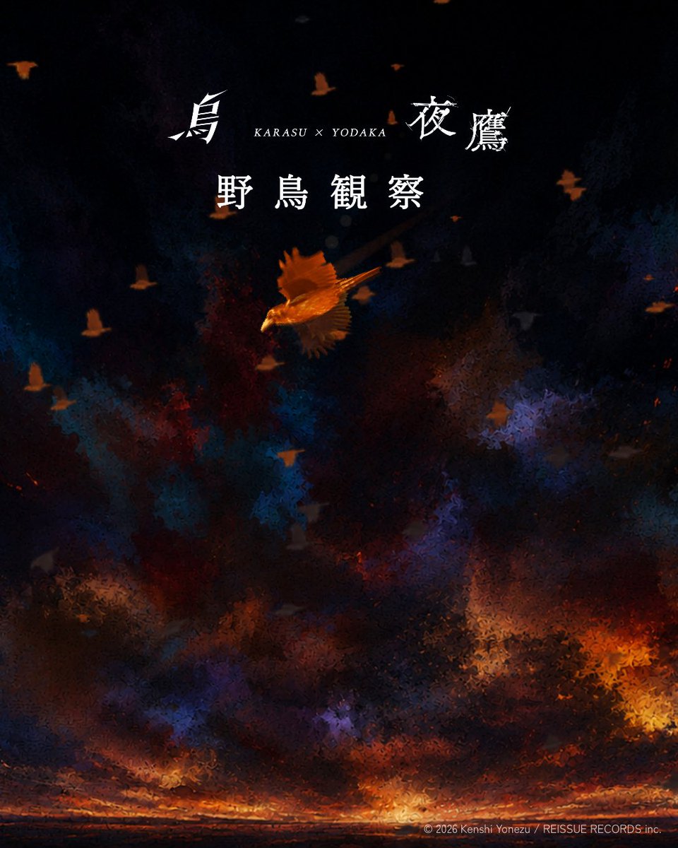 Numasan_24's tweet photo. 10,760羽目の「夜鷹」が羽ばたきました
https://t.co/PxcAhADTNB
#烏 #夜鷹 #野鳥観察リスニング https://t.co/7THvTZHzDi