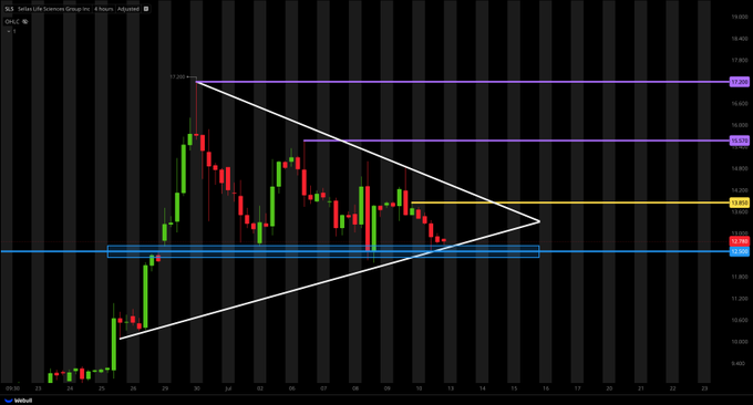 Celticspirit06's tweet photo. $SLS UPDATE;

BULLISH PENNANT + PSYCHOLOGICAL SUPPORT
(CONT. INIDCATION)

NEEDS TO HOLD $12.50 SUPPORT ELSE THE TREND WILL BE BEARISH

WAITING FOR A BREAK AND CLOSE ABOVE $13.85 FOR POSSIBLE ENTRIES

KEY LEVELS;
$15.57
$17.20 https://t.co/q0Hgcb1rEA