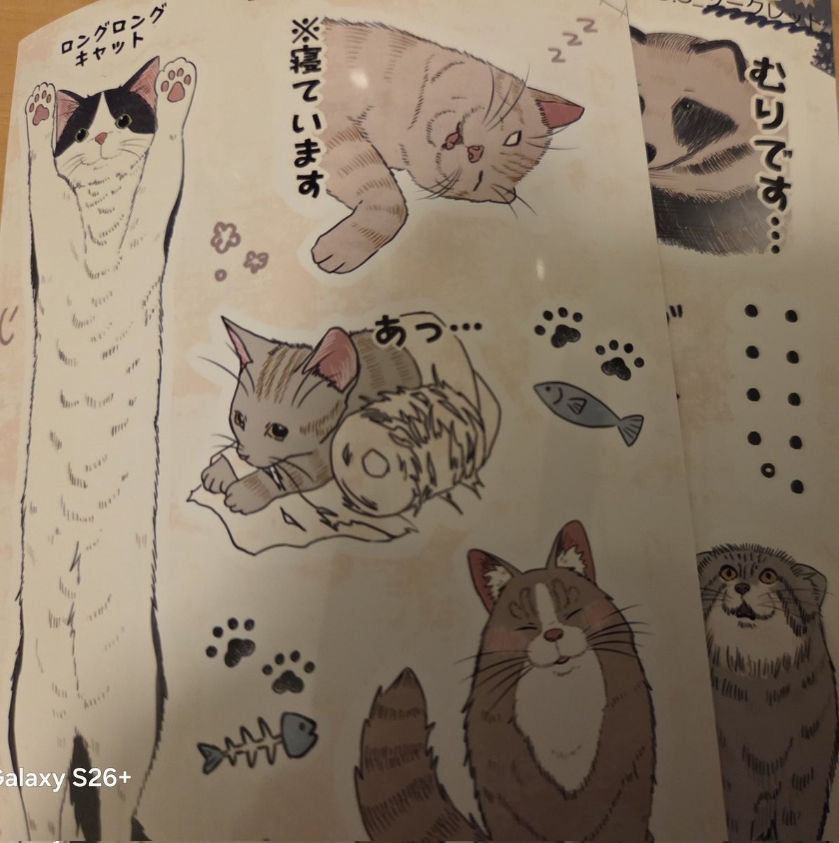 かわいいฅ^•ω•^ฅ✨