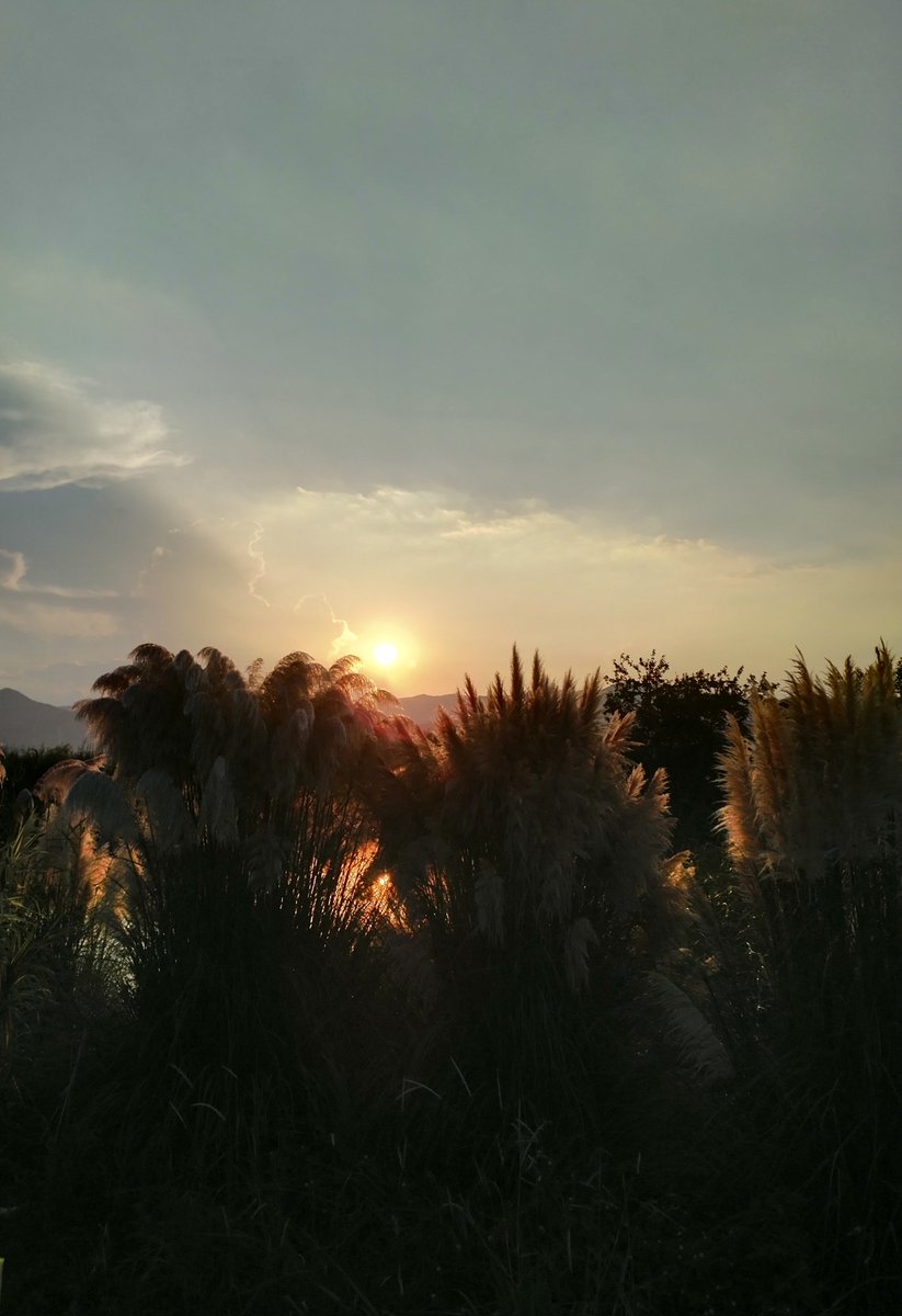 whatDaMelon's tweet photo. [Our photography club’s sunset shoot at the river!  Captured 10+ amazing shots in 2hrs—waiting to share our favorite at the campus art fair next week. Who’s coming]， https://t.co/kBZIsHadDm