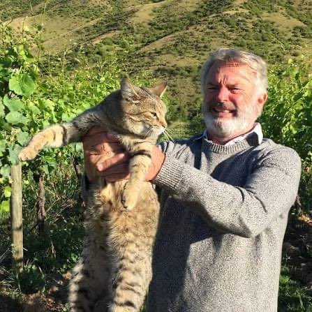 Larry the Cat tweet media