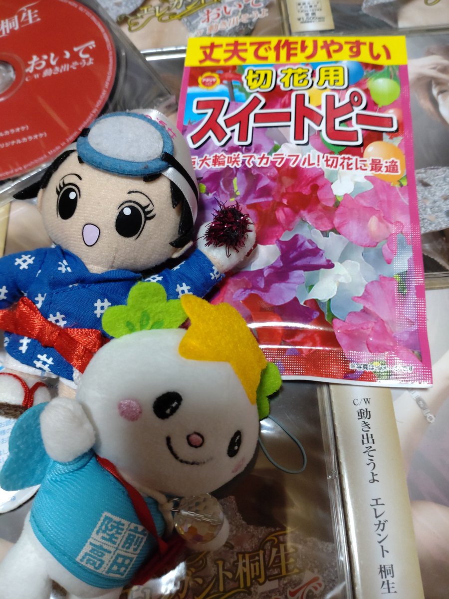 lotus045's tweet photo. エレガント桐生さんのヨシヅヤ西春店でのイベント観覧の記念に入手したスイトピーに、種ができました。綺麗な種は一番最初に花芽を持った赤紫の花のです。子孫は繁栄していくのでしょうか、また秋頃植えてみます。イベント会場がスーパーだとこういう楽しみ方もできて楽しいです。 https://t.co/0jleaIehmW