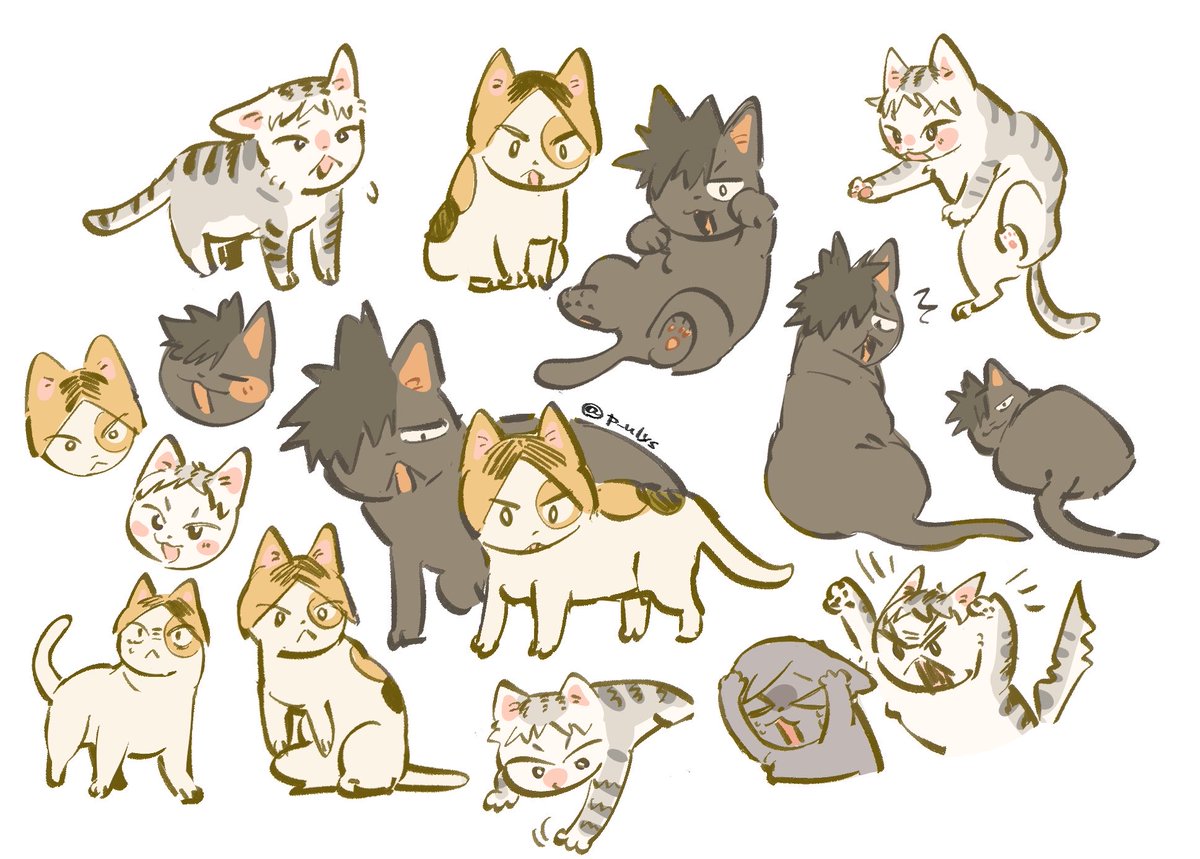 p_ulys's tweet photo. 🐈 https://t.co/7Q6qVTxEU7