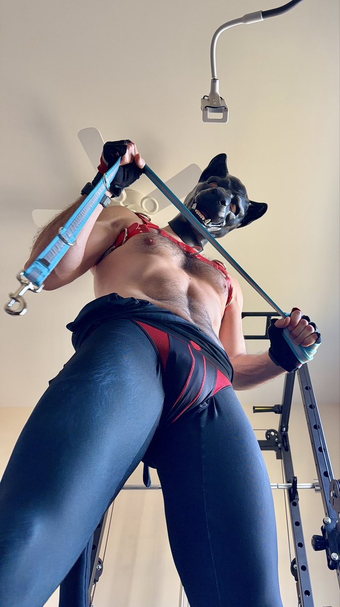 PapaPantherX's tweet photo. Just finished my workout, so it is time to take my gym towel for a walk https://t.co/lsf8wKruDB