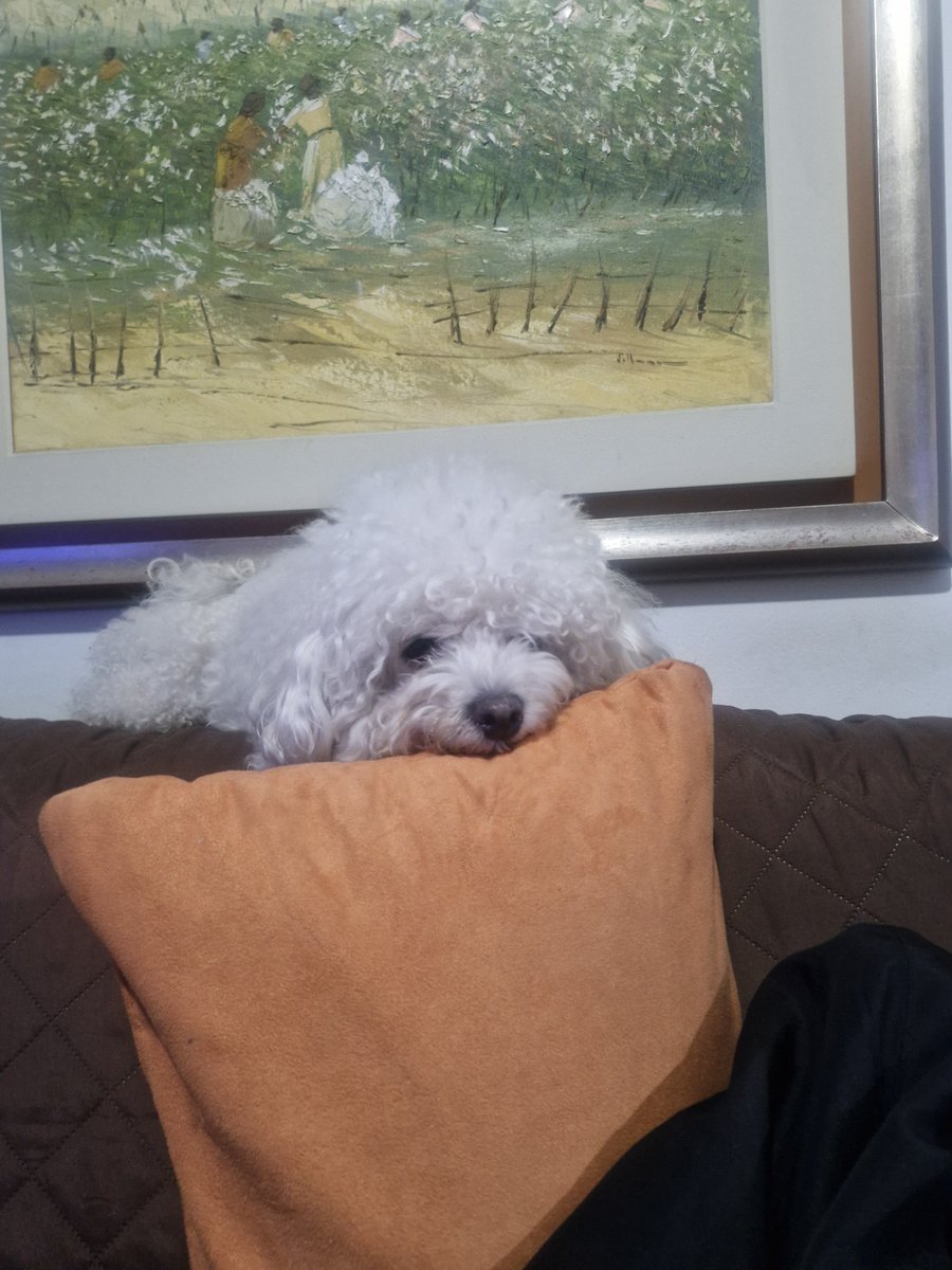 chivi94's tweet photo. @SoyDaniloDiaz Y si jajaja 🫶 https://t.co/P6dVH1tki3