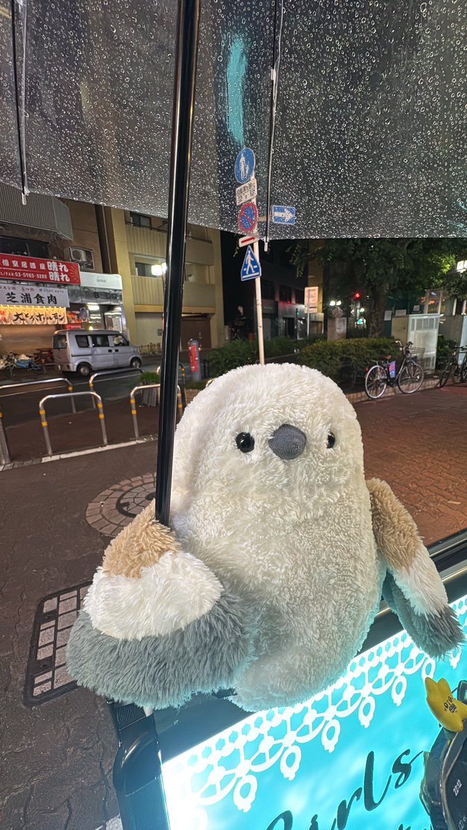 atom_o_arare's tweet photo. お疲れ様〜✨️

今日も元気にいてますよ〜！

明日お休みになったので今日会えたら嬉しいな🙏💫✨

お待ちしてます〜！ https://t.co/DZJ8UU1sio