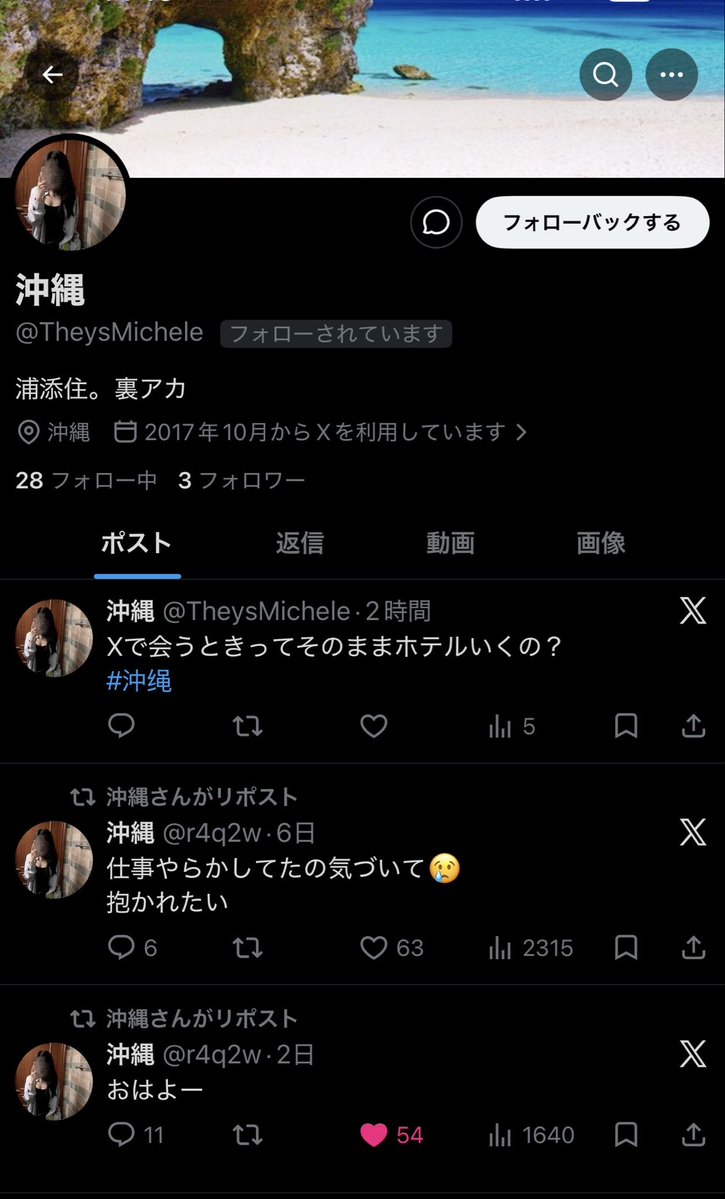 キジトラ tweet media