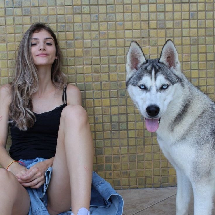 Tessyassu's tweet photo. Premium and naughty dog Knotting channel,if you are interested in some dog Knotting talk to get added#dogknotting #zootopia #zoophila #dogs #pets #favourite 
#zoo #zoosex #horse #sex #knot 
Tap on the link on the link to get added 🔗 https://t.co/7QkxUXsAQj https://t.co/nSjwvJiYaw