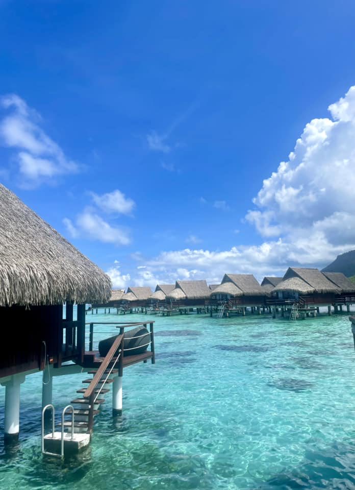 ruffo767's tweet photo. 🌊✨「果てしなく広がる青い空の下、美しい海に包まれながら穏やかに過ごしています。寄せては返す波のひとつひとつが、笑顔で深呼吸し、人生の美しい瞬間を楽しむことを教えてくれます。」☀️🏝️ https://t.co/3ID1k7J5pe
