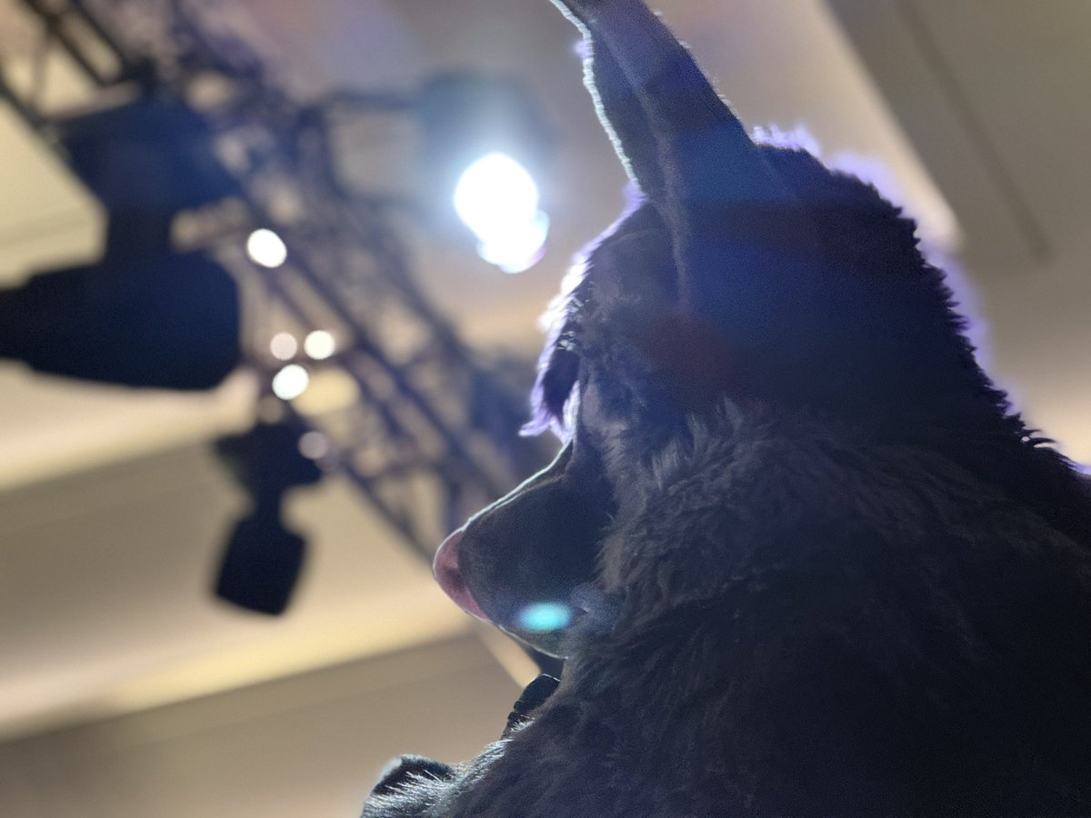 Hugz N. Snugz 🔜 Megaplex 2026 tweet media
