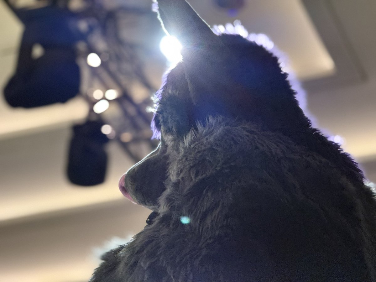 Hugz N. Snugz 🔜 Megaplex 2026 tweet media