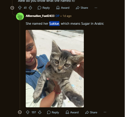 MarioPrezidente's tweet photo. I found her name and the cat's name. 

Her name is Rasha, and the cats name is Sukkar

The person who made the post gave the names. 

THIS IS THE GAZA KID BUT WITH A CAT?!?!?!

The best ticker is friendship because they form a friendship. 

Check user: https://t.co/xYuOUaNPkr
https://t.co/pjTuE8O2FW