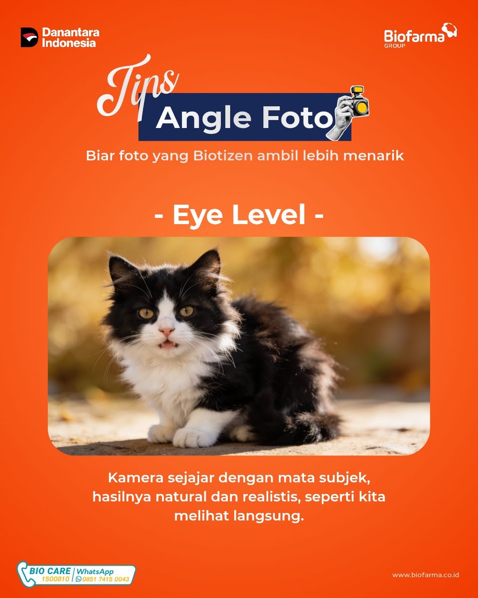 biofarmaID's tweet photo. Satu moment. Satu kamera.
Beda angle, beda cerita. 📸

Save postingan ini buat referensi pas jadi fotografer dadakan.
Karena masih banyak momen seru buat diabadikan. Jadi, jangan lupa tetap aktif dan jaga kesehatan, ya!

#kesehatan #biofarmaid https://t.co/vGepG4BfSG
