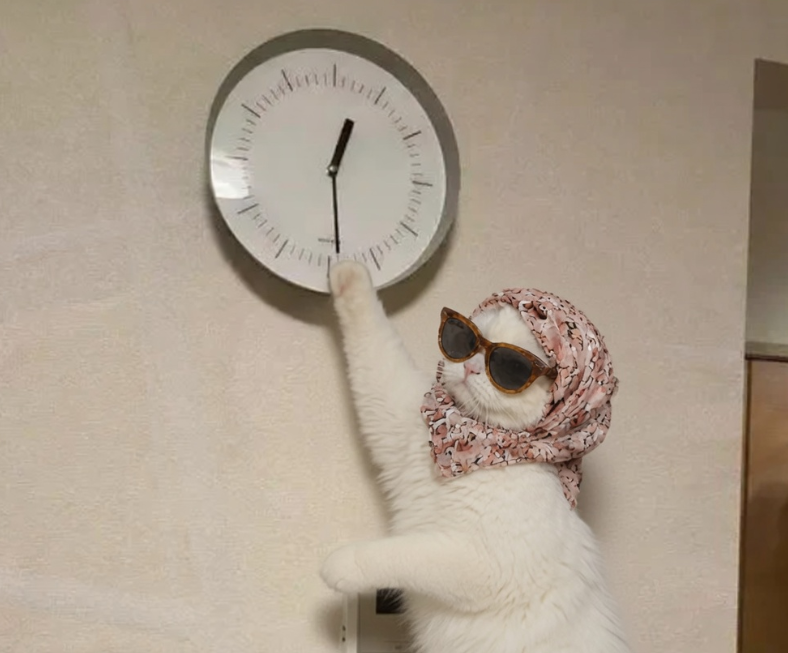 GlamCatRH's tweet photo. Every second counts $glamcat https://t.co/QTEHo468e7