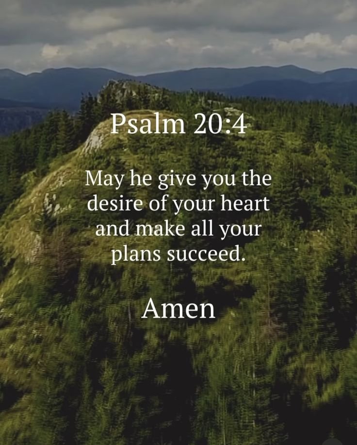 John_Matthew_T's tweet photo. Psalm 20:4 https://t.co/cTLR5EhR1X