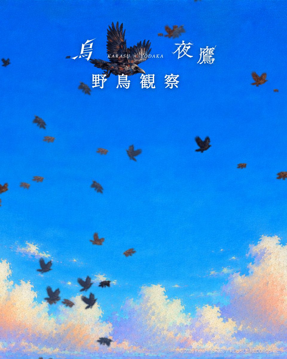 chemameee's tweet photo. なんか米津さんが描いた烏がいた！

https://t.co/XdO02voIT9
#烏 #夜鷹 #野鳥観察リスニング https://t.co/7dYMwlw80j