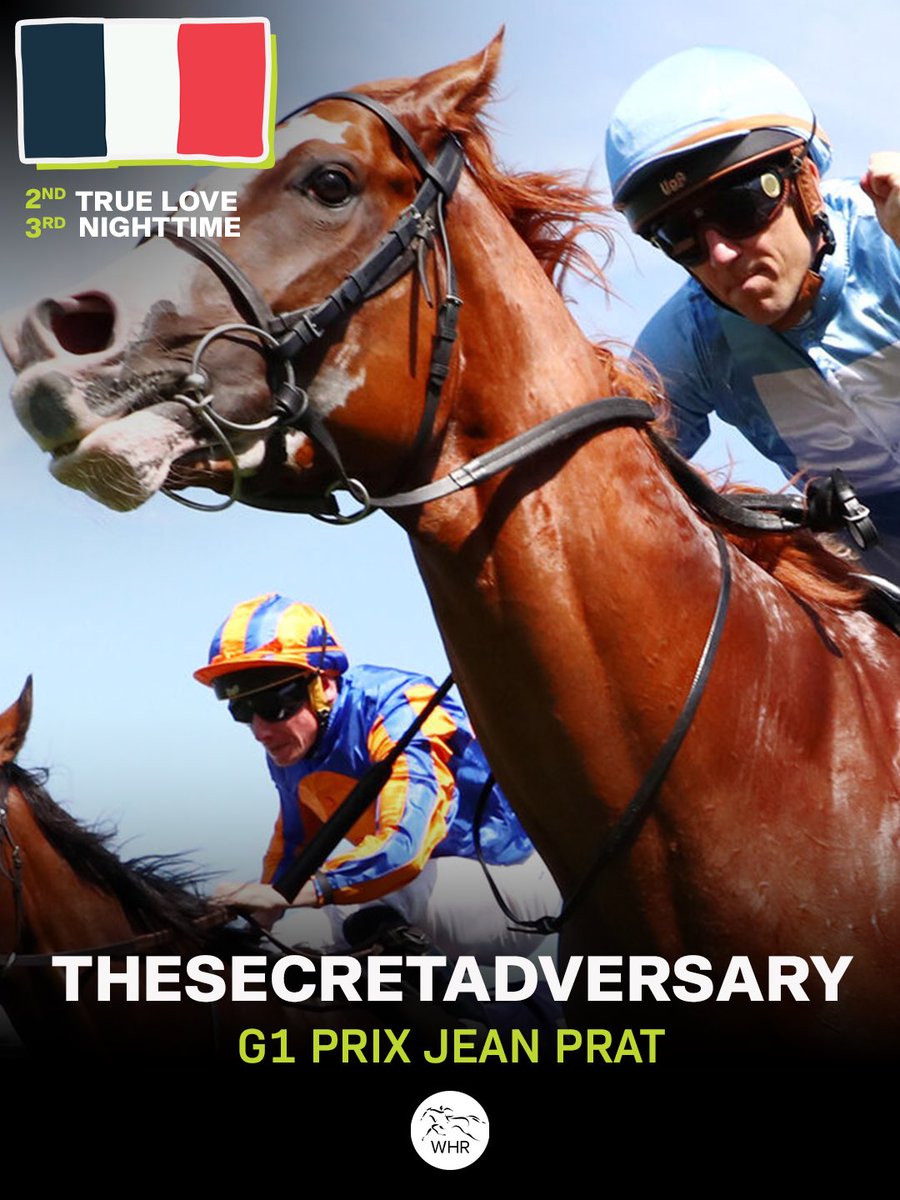 World Horse Racing tweet media