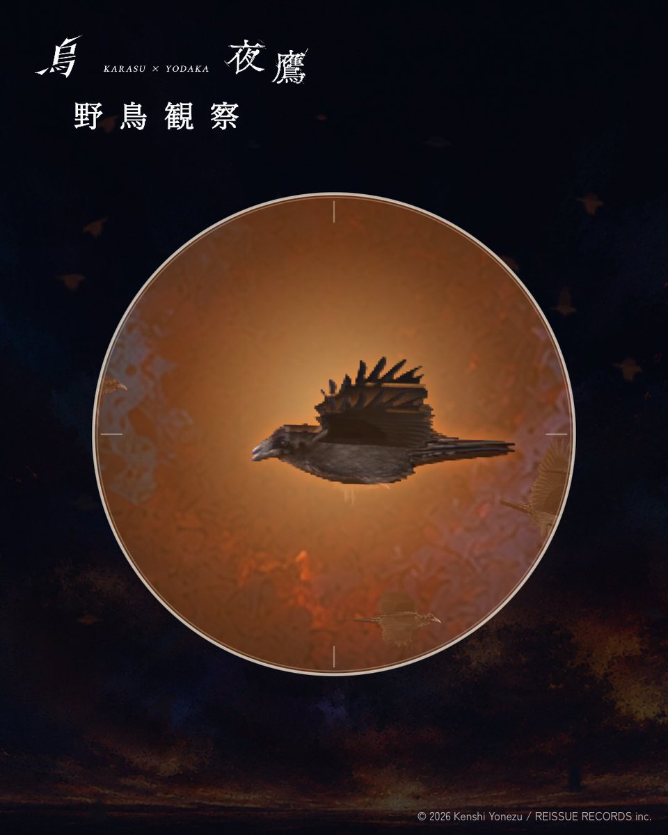 a_yataka2l's tweet photo. 19,811羽目の「烏」が羽ばたきました
https://t.co/3e82WwaLgT
#烏 #夜鷹 #野鳥観察リスニング https://t.co/6r2fo3oTIc