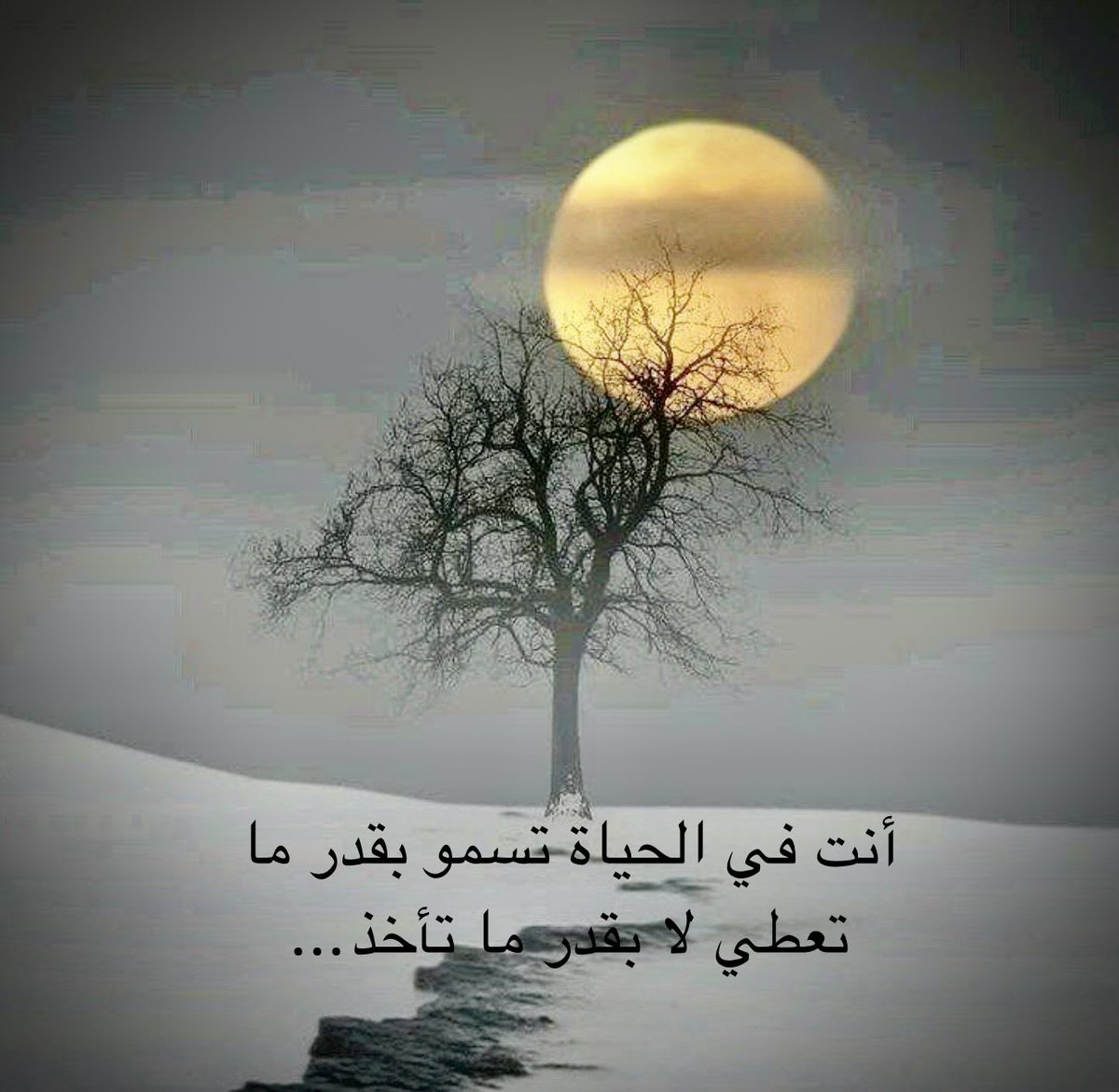ziyad_2003's tweet photo. #الكلمات_الجميله_من_يقولها https://t.co/caAVzD0CDP