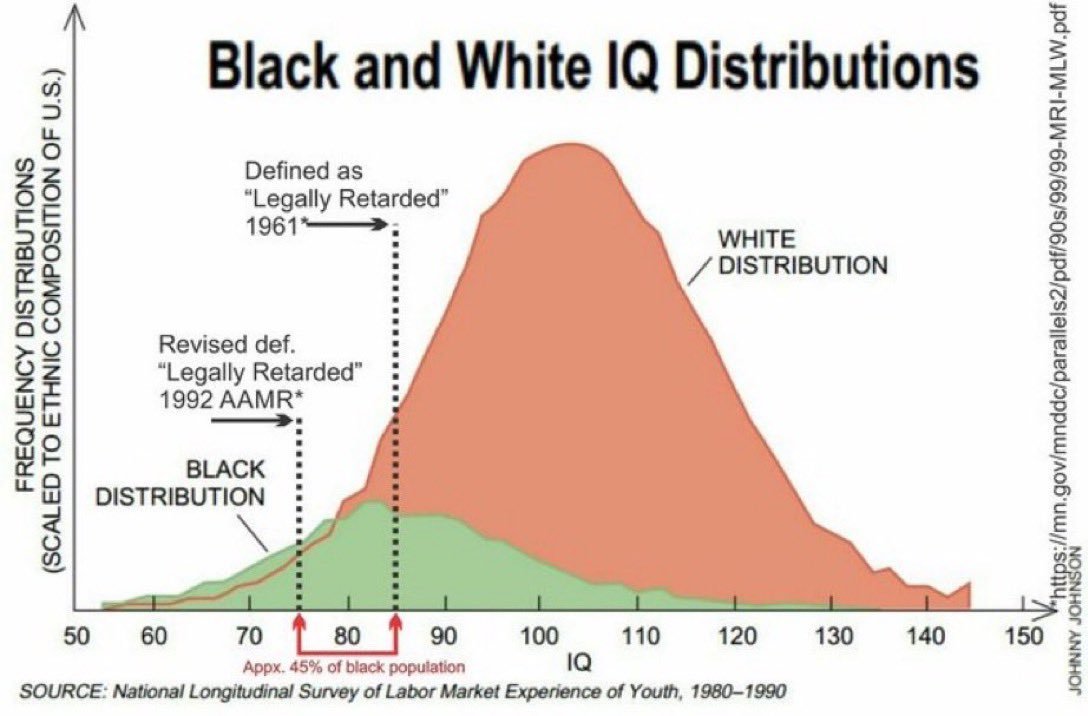 RklssAutomotive's tweet photo. @KeljarMoatis @lporiginalg Genetics, IQ, propensity to commit crime &amp; economic prospects are all interlinked. 
Focusing solely on economic factors isn't going to get you very far. https://t.co/p80WQFUZ1h