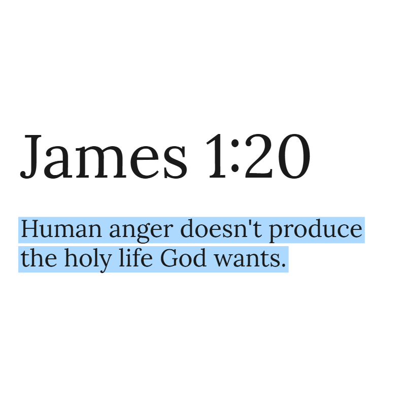 Holy Bible tweet media