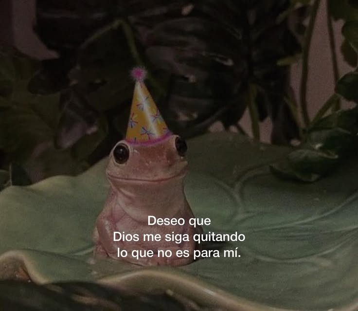 DeryaRamirez's tweet photo. Así sea https://t.co/LfxF25b7v1