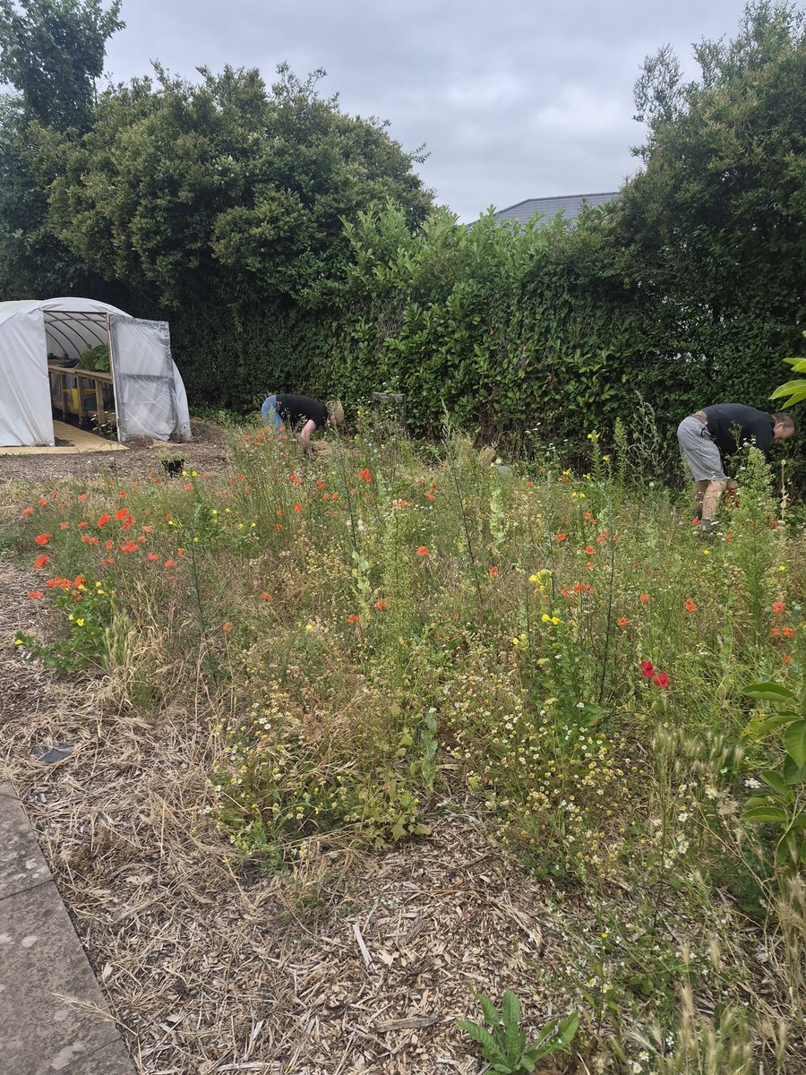 Litter Watch tweet media