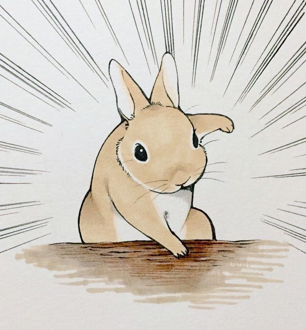 Human00445's tweet photo. @piko_schwa 👯‍♀️🐰 https://t.co/DRbBf8FwbB