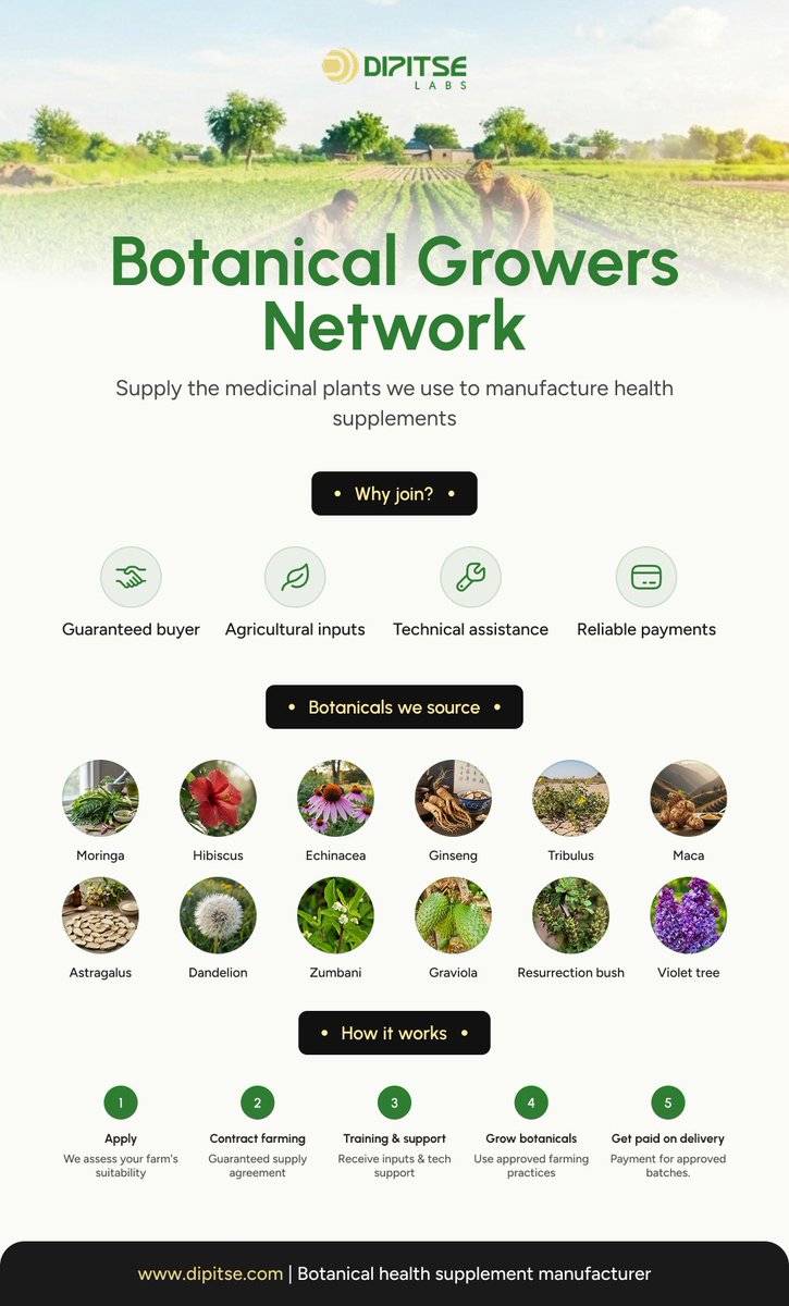 dipitselabs's tweet photo. Join the Dipitse Botanical Growers Network.

Selected farmers receive inputs, training, technical support and payment on delivery for approved batches.

https://t.co/iaDywC6WOT https://t.co/AMGuadN66s