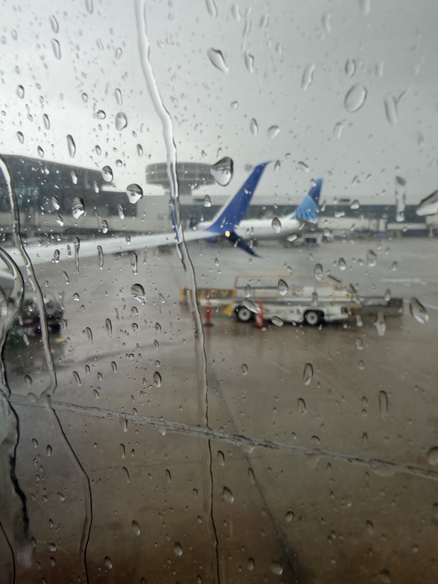 gin39yoshitune's tweet photo. 雨すごいけど、これからAustinに乗り継ぎますにゃ！

ぎんちゃ、眠たいらしい。
今、お昼12時。

#ぎんねこたび https://t.co/EGBJrpgpJR