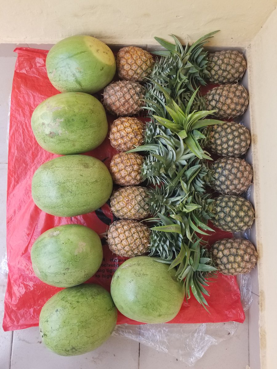AdekunmiAzeez's tweet photo. From Job Seeker to Health Entrepreneur: Why I Started HealthyYou Naturals

In the spirit of the trending conversations about corn, akara, and kulikuli following the remarks by Her Excellency, the First Lady of the Federal Republic of Nigeria, @SenRemiTinubu https://t.co/VRTzlqpXFO