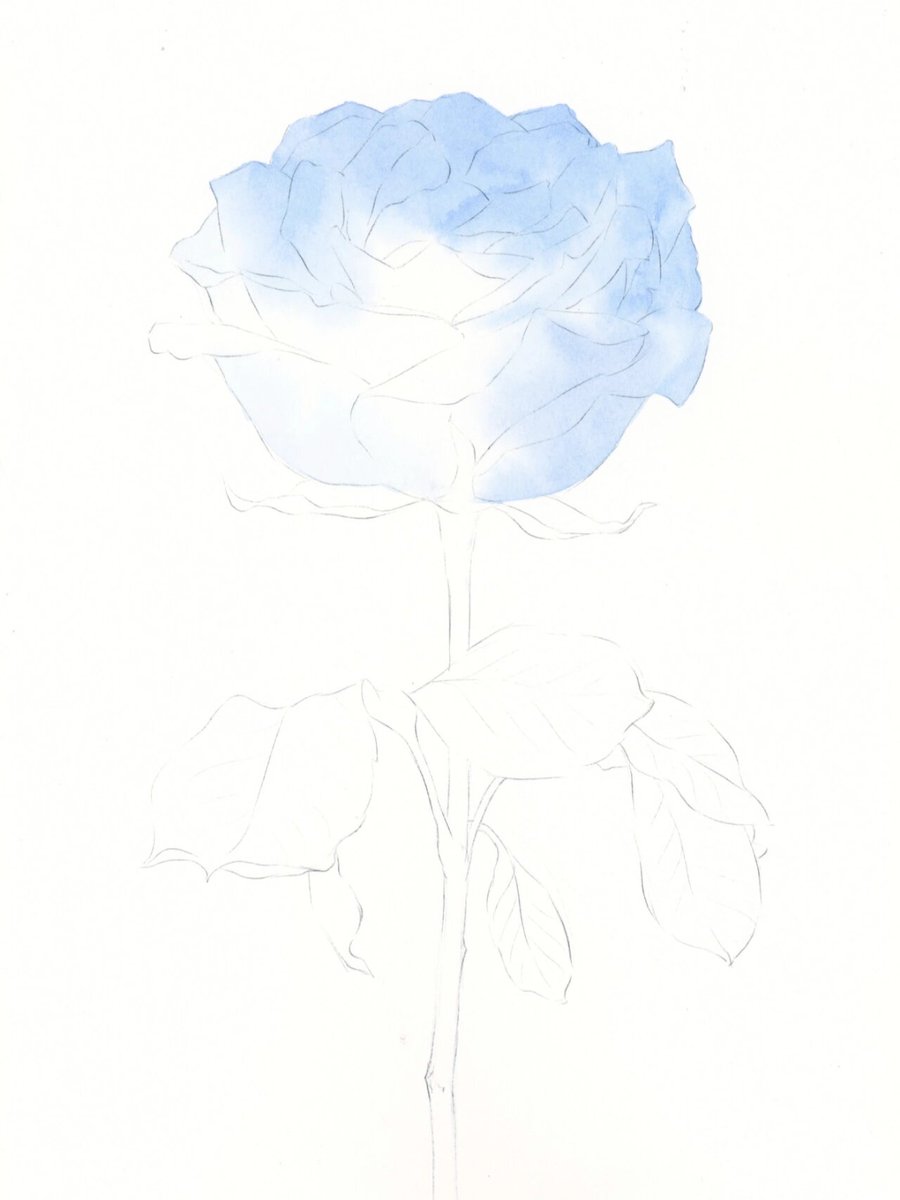 tjrdls8807's tweet photo. New hobby alert!  Try 15 mins of watercolor doodling daily—no skills needed, just calm, fun, and tiny masterpieces that feel like a win. Start today! https://t.co/40l87Xwkmk