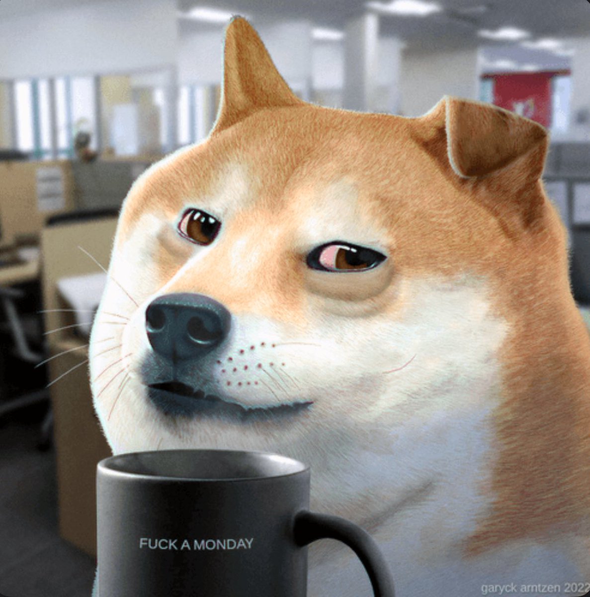 ɅlphaDoge tweet media