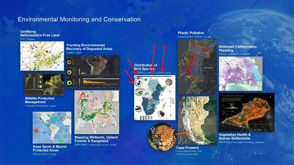 RCoE_ESA's tweet photo. 🎉 Big news from the @Esri User Conference!

We're thrilled that our map showing the distribution of bird species in Eastern and Southern Africa was hand-picked by Jack Dangermond, President and Founder of Esri, and featured on the opening slide of his keynote presentation!

The map was among a select few highlighted for their contribution to environmental monitoring and conservation.

📖 See the map in the RCoE-ESA MapBook Vol. 1 (page 29): https://t.co/IhXCGL3UwV

@EsriEA #EsriUC2026 #GIS #RCMRD #Geospatial4Development
^AS
