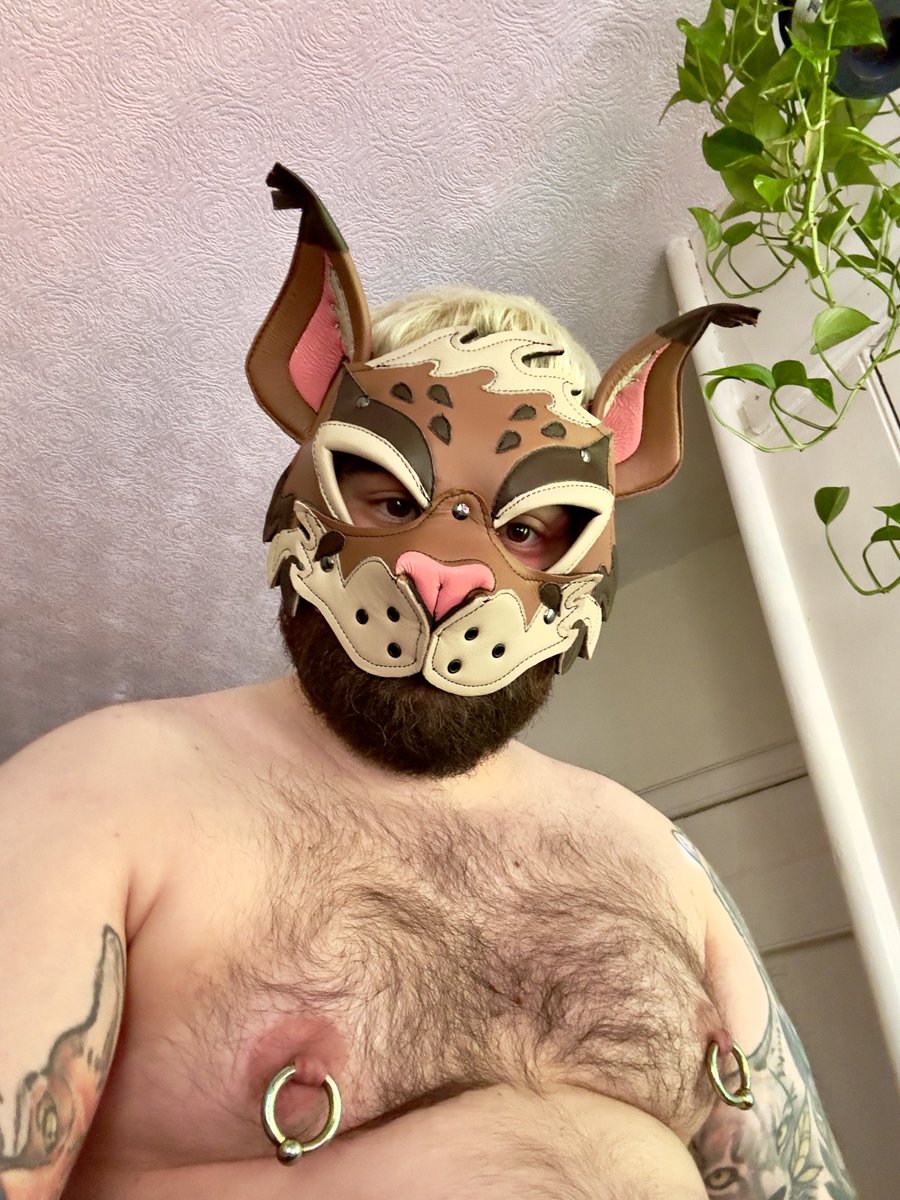 LynxCuddles's tweet photo. big titty kitty https://t.co/6lCUyumfCo