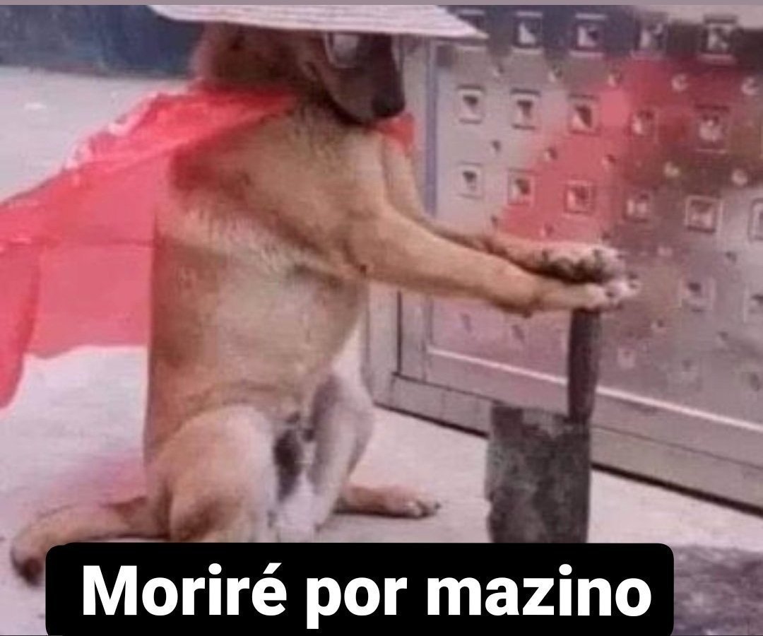 JoseMMGF's tweet photo. @Mazinofps https://t.co/YKtHy6qaUR