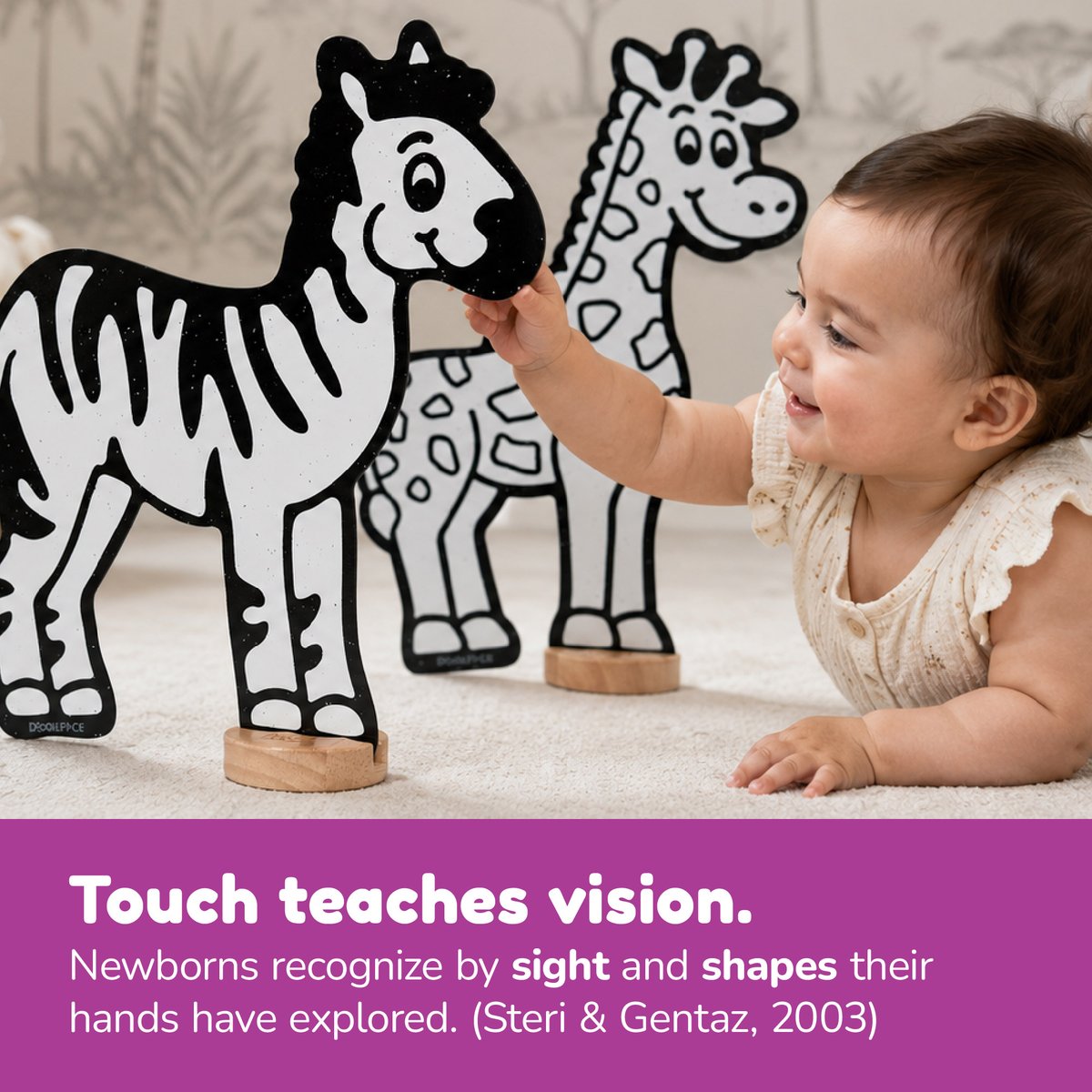 DoodleFacePlay's tweet photo. Newborns build vision through touch. 3D objects in a child's hands teach shape and space that flat surfaces can't (Steri &amp; Gentaz, 2003; Soska, Adolph &amp; Johnson, 2010).  

DoodleFace: real edges for little hands to explore, not just look at.  🦓🦒
#DoodleFace #HighContrastToys https://t.co/H1V5Hqp5Jf