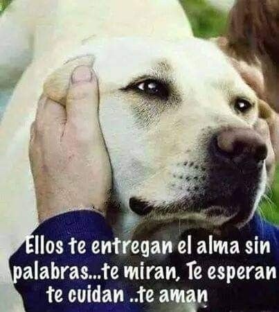 rey_latino33087's tweet photo. https://t.co/Y4vrRylfTx