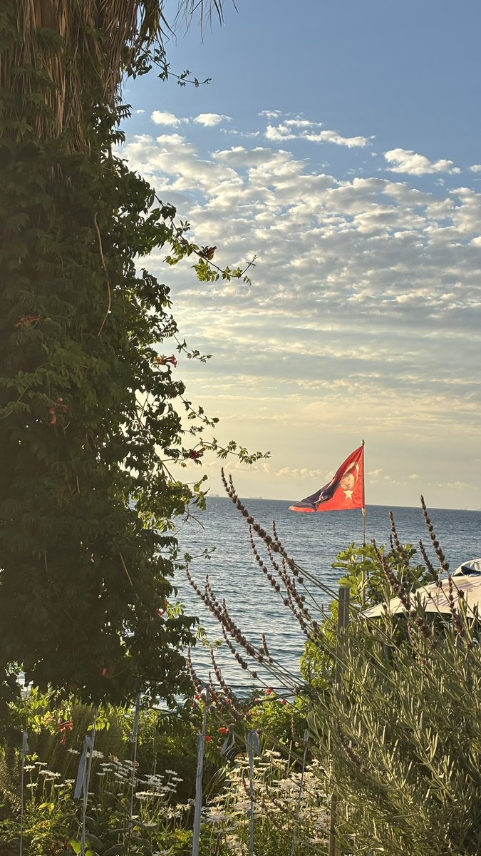 Efe 🇹🇷 𐱅𐰇𐰼𐰰 tweet media