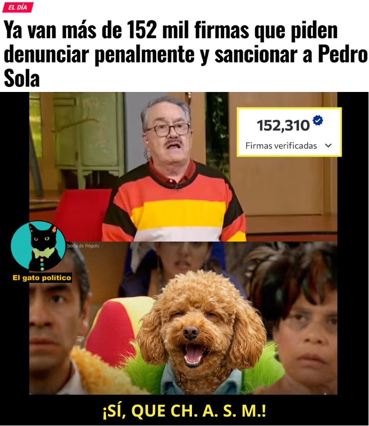 El gato político tweet media