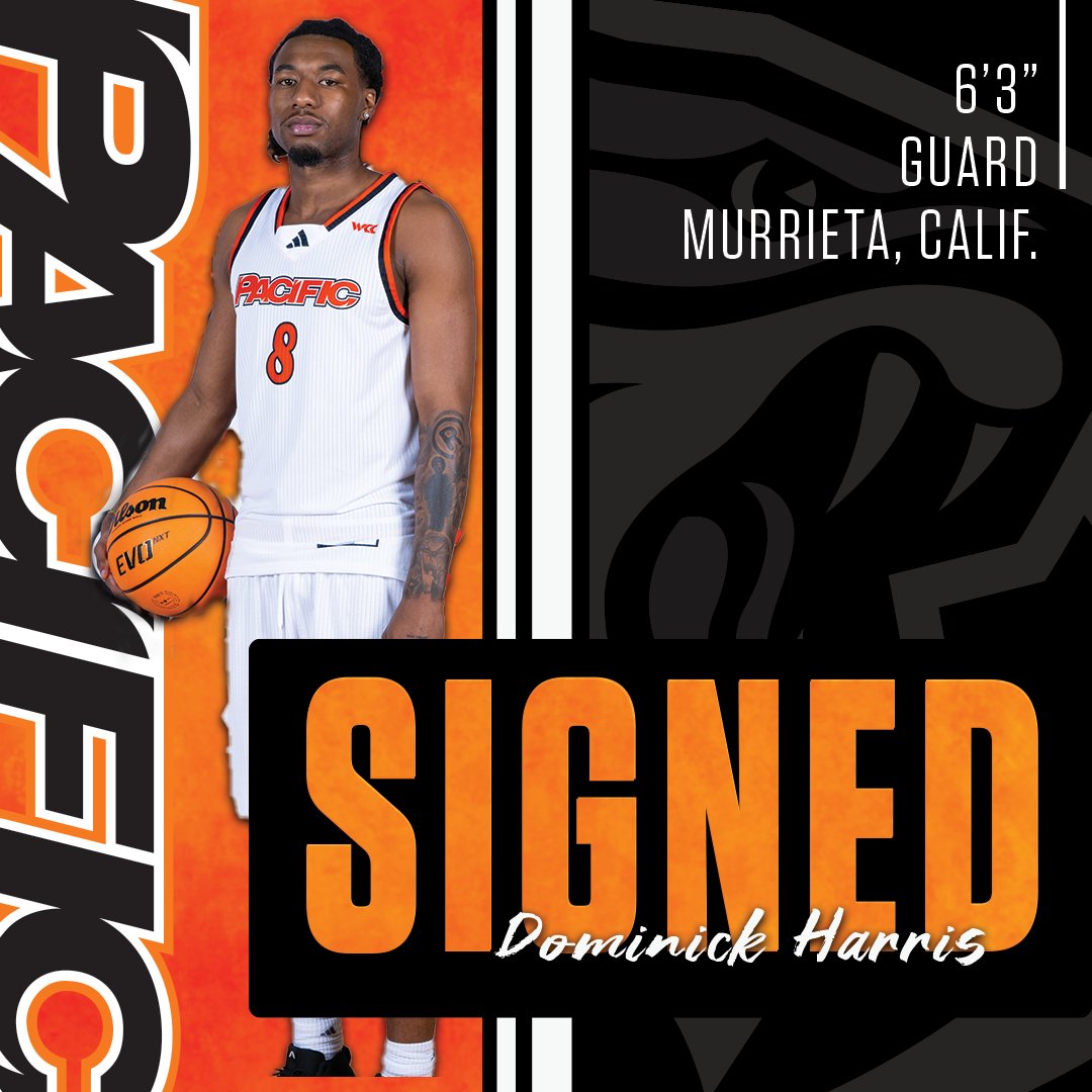 PacificMensBB's tweet photo. Another Tiger joins the family! Welcome to the 209, Dominick!

#PacificProud https://t.co/qYRWT43Ak0
