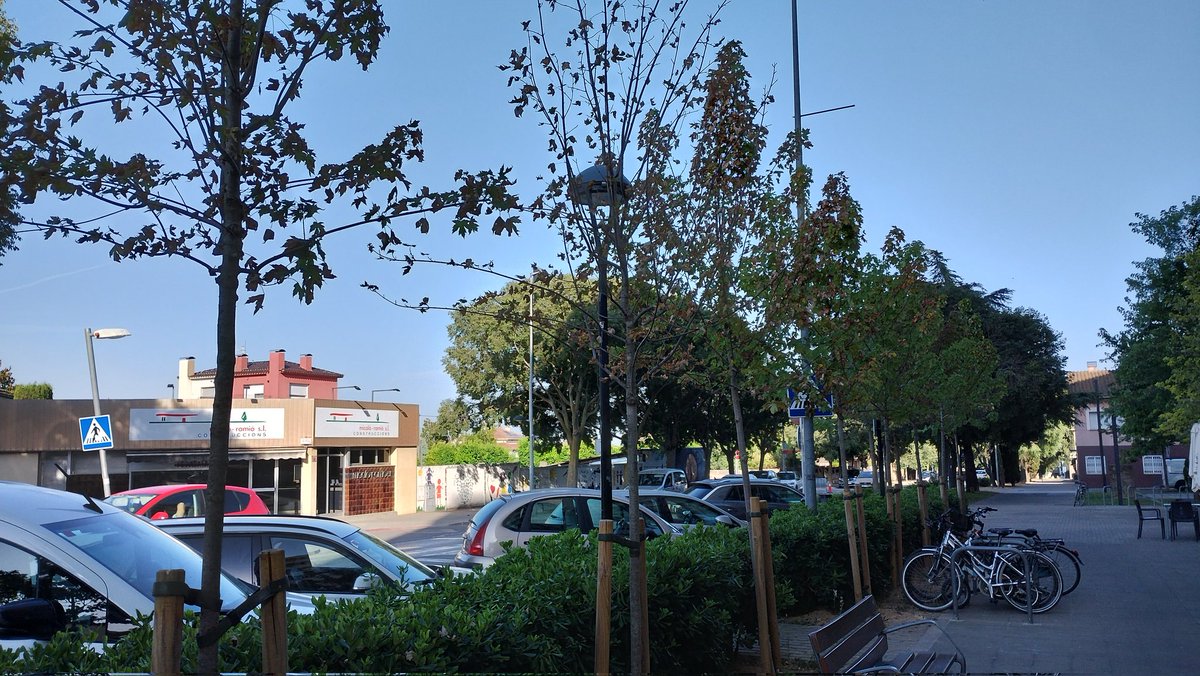 xavierbosch1's tweet photo. Ei @AjBanyoles , si planteu arbres petits seria un detall que els reguessiu uns quants anys fins que es mantinguin sols. Jo fa 5anys que us rego arbres perquè no es morin, però amb tots aquests nous no dono l'abast i no arribaran a setembre https://t.co/RZP06Pzod1