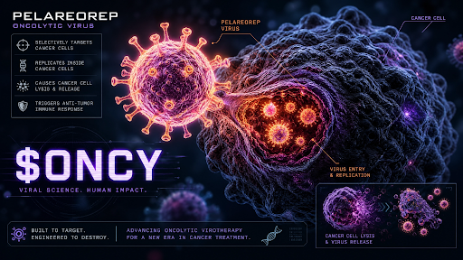 NexusCryptonexu's tweet photo. $ONCY is advancing Pelareorep, an investigational immunotherapy with promising potential in cancer research. Definitely worth watching. 

Watch the video to learn more: https://t.co/yEhoXP1pql #ONCY

 #CancerResearch #BiotechInnovation #Pelareorep https://t.co/XWn1TmaWTp