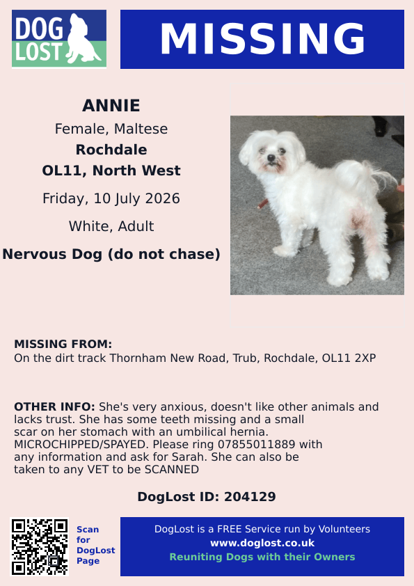 millypod1's tweet photo. π10 July 2026 #Lost ANNIE #ScanMe
Maltese Female. Nervous Dog (do not chase)
On the dirt track Thornham New Road #Trub #Rochdale #GreaterManchester #OL11
https://t.co/RuLW7Pxqc2 https://t.co/VLtsfAcOwy