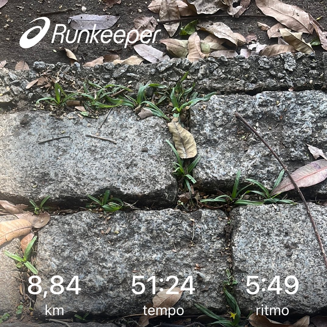 Maucarcara's tweet photo. 🏃🏻‍♂️🌳🌬️⛅️🖖🏻🦑🔏🤡🏃🏻‍♂️ https://t.co/yvgp8UmV6t