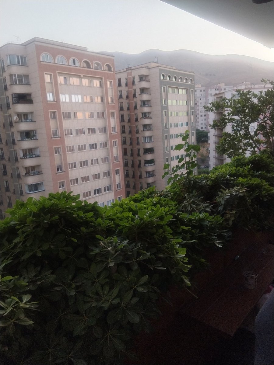 AldynRdayy's tweet photo. کاش همسایه های ما هم ذوق داشتند)-: https://t.co/bPU7g8YW8h
