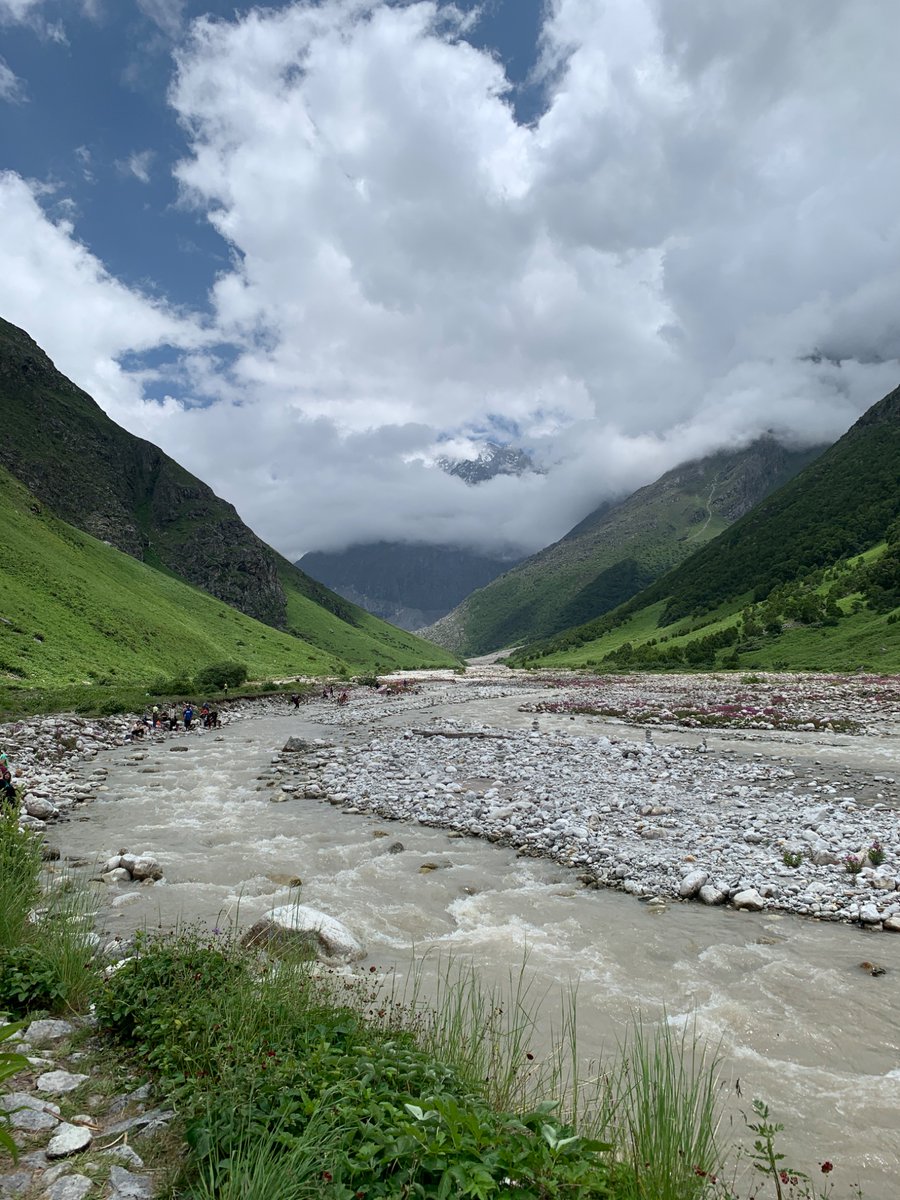 Manav437's tweet photo. Valley of flowers // Heaven on Earth https://t.co/RsIk0eRTDF