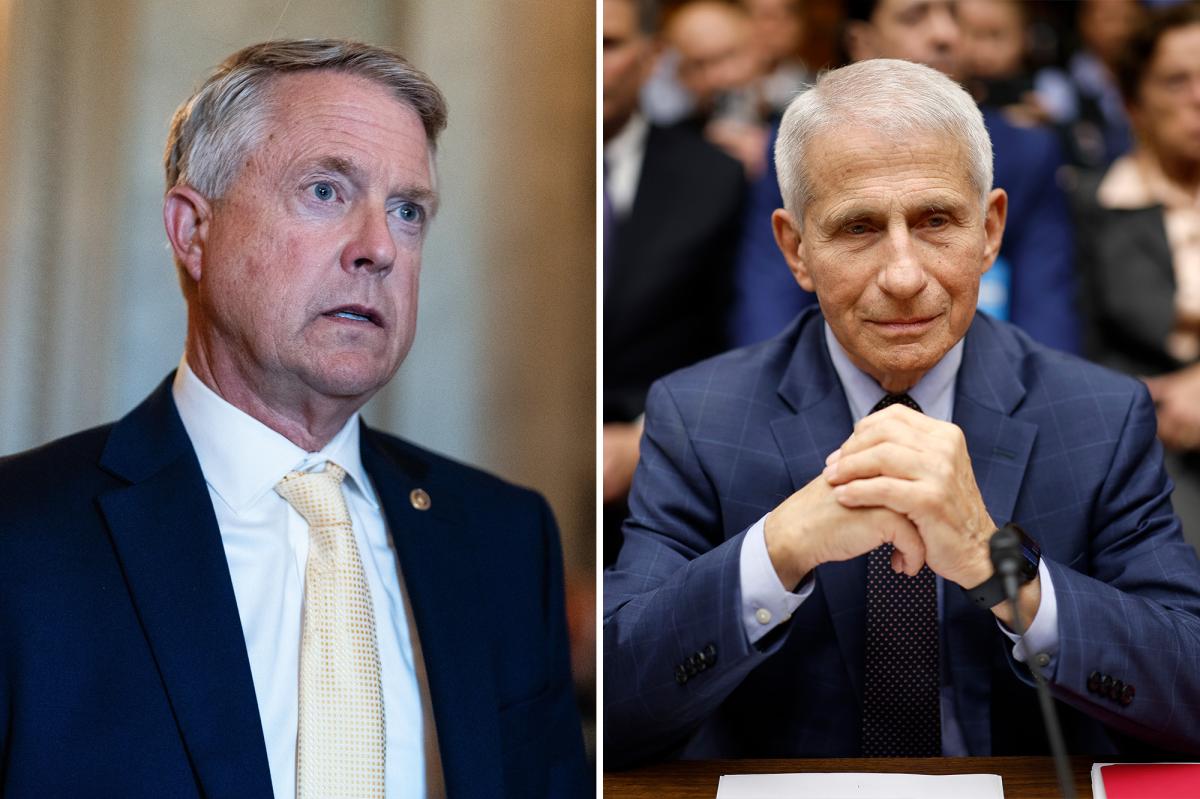 nypost's tweet photo. Senator demands special counsel probe of Dr. Anthony Fauci over COVID-19 origins https://t.co/DmiYt8rO5e https://t.co/2RmtVfxaQE