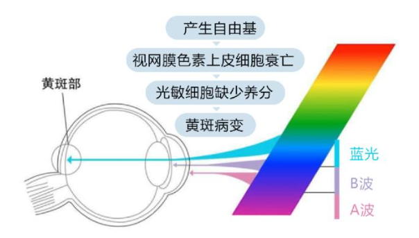 gwyhw57953548's tweet photo. “Small daily steps boost big skill gains! 15 mins of focused English practice daily beats cramming. Start today—your progress awaits!  #SkillUp”， https://t.co/eLOEkXZmYs