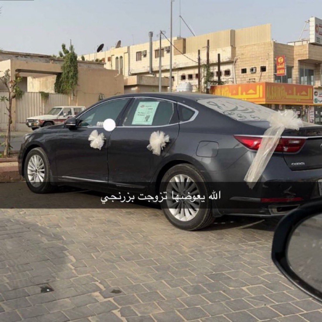 بوعتب tweet media